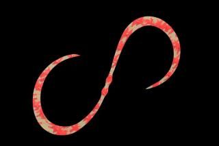 å ӥӥ̥ͥ ꡼ F-0350 ӥ /   Ĥ ᡼ز