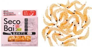 ͻ ɥ٥  / ﲹ¸ ꥨ  ᡼ز