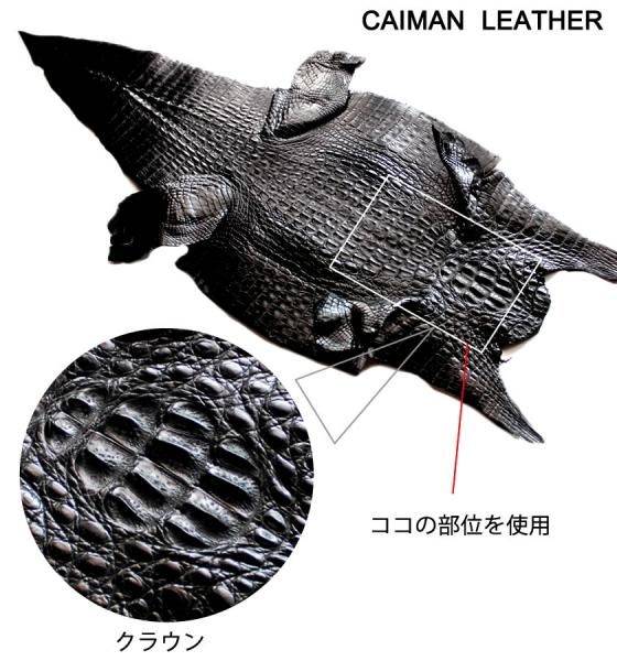 no.0519 レザーウッドと小さなワニ no.0519 レザーウッドと小さなワニ