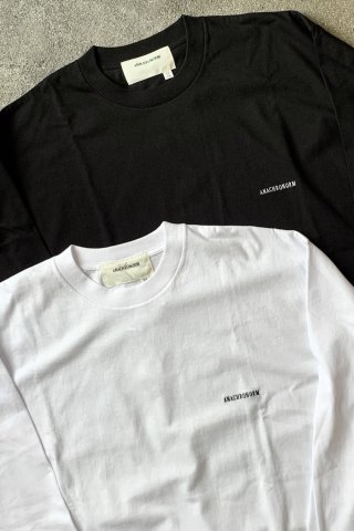 ANACHRONORM STANDARD EMB L/S TEE
ξʲ