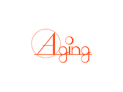 Aging エイジング