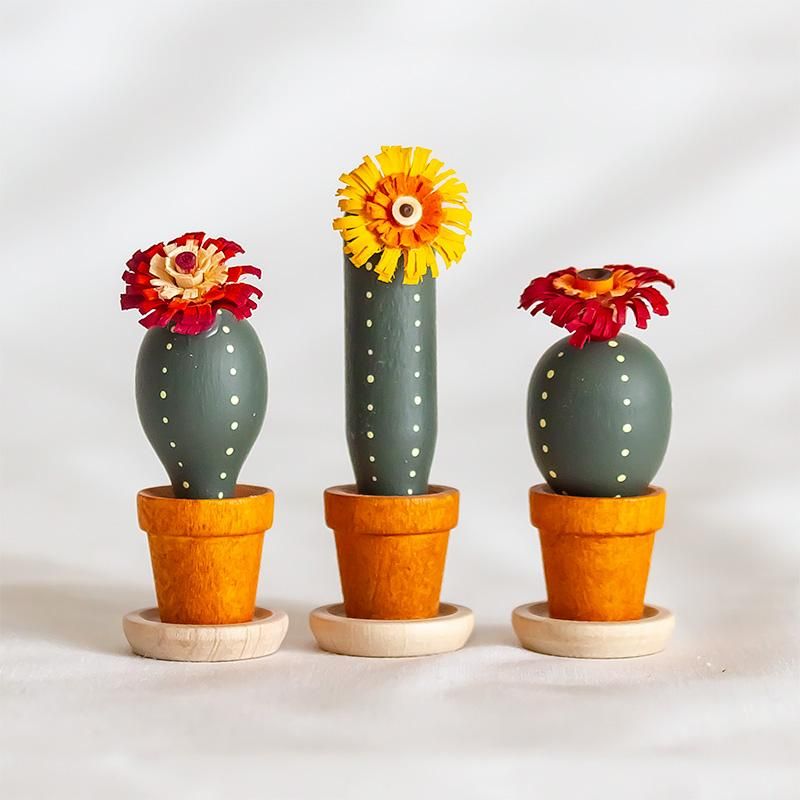 Leichsenring ライクセンリング 植木鉢の花 12種セット