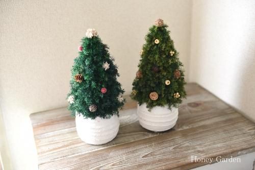 お山のツリー赤