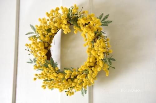 mimosaその２