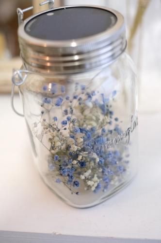 かすみ草のソネングラス