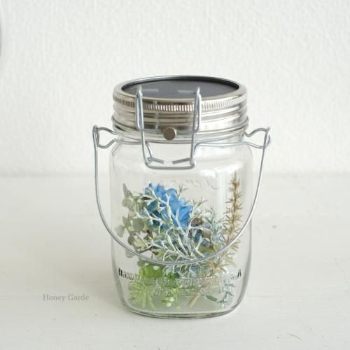 ブルーの貝殻草のソネングラスミニ