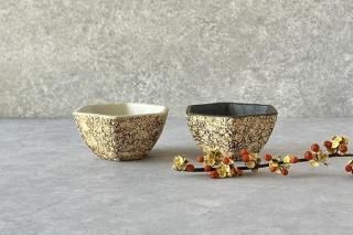 未使用 作家 器セット 皿 小皿 小鉢 中鉢 ミニコンポート