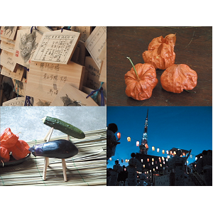 ζ̼Ȣݻפ鷺дˤʤ룴