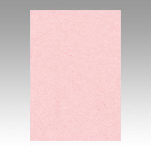 ニューカラーR　八ツ切色画用紙100枚入　ウスモモの商品画像です