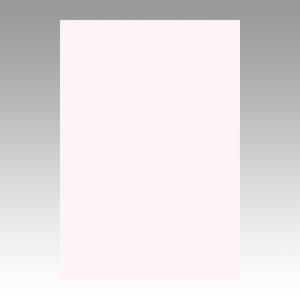 ˥塼顼RȬڿѻ100ԥ󥯤ξʲǤ