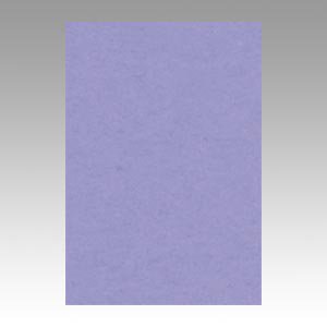 ニューカラーR　八ツ切色画用紙100枚入　フジムラサキの商品画像です