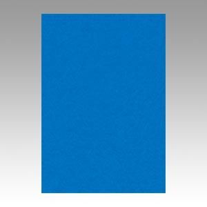 ˥塼顼RȬڿѻ100ξʲǤ