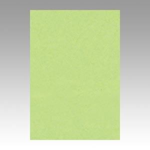 ˥塼顼RȬڿѻ100參ξʲǤ