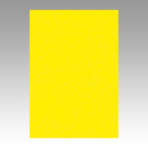 ニューカラーR　八ツ切色画用紙100枚入　レモンの商品画像です