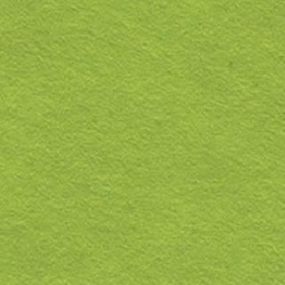 ̱»ñ1ꡡ֭ߤɤפξʲǤ