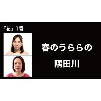 ÷饪DVD4ǡۥ֡βΡۤФȤȤ(ॸ