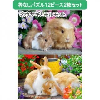 ѥȤʤ12ԡ2祻åȡ֥ȥåȡפξʲǤ