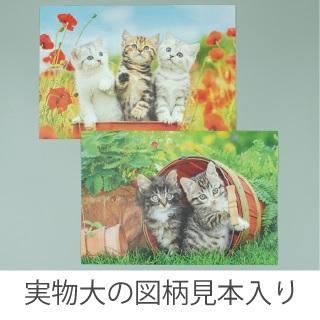 ѥȤʤ12ԡ2祻åȡֳڤưʪ