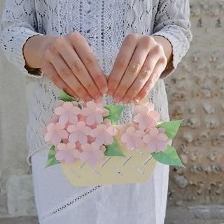 ϥߤȤʤΩڤ골֤ꥭåȡȬź