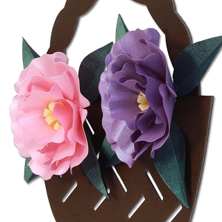 ϥߤȤʤΩڤ골֤ꥭåȡȥ륳˹