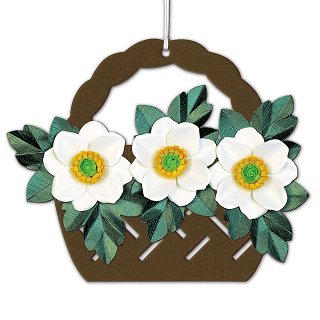 ϥߤȤʤΩڤ골֤ꥭåȡ