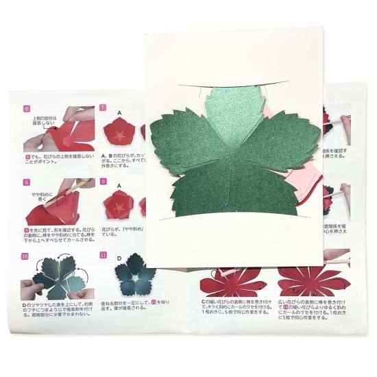 PFC ϥߤ餺Ž֥롼७åȡФְסڤ縶ޤߴƽ