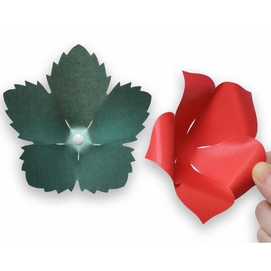 PFC ϥߤ餺Ž֥롼७åȡФְסڤ縶ޤߴƽ