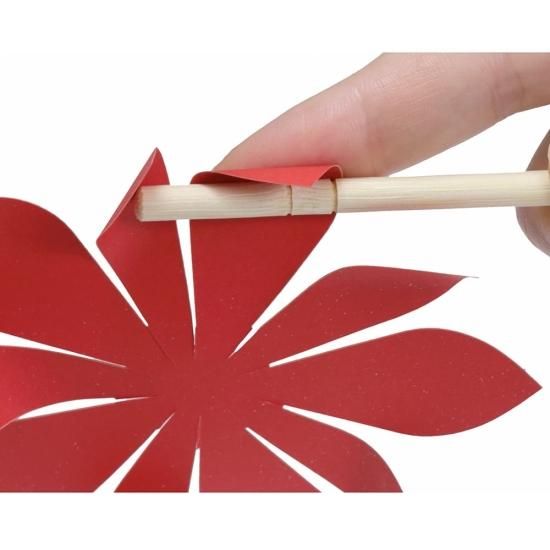 PFC ϥߤ餺Ž֥롼७åȡФְסڤ縶ޤߴƽ