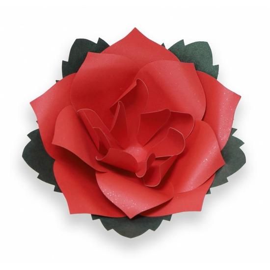 PFC ϥߤ餺Ž֥롼७åȡФְסڤ縶ޤߴƽ