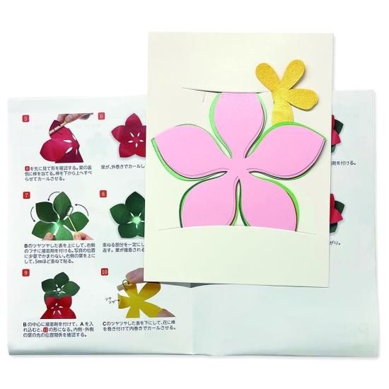 PFC ϥߤ餺Ž֥롼७åȡݥ󥻥ֹסڤ縶ޤߴƽ