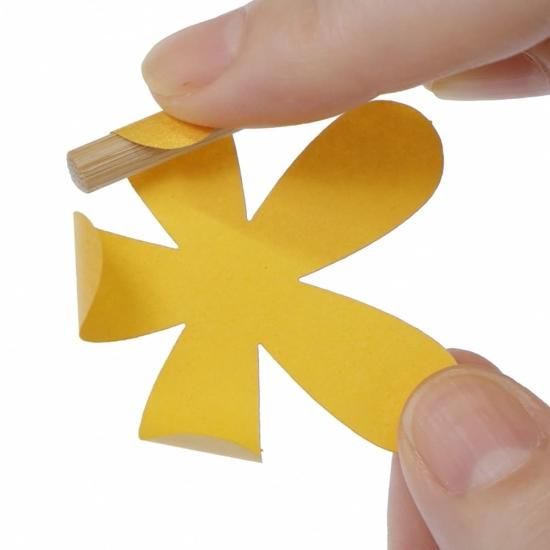 PFC ϥߤ餺Ž֥롼७åȡݥ󥻥ֹסڤ縶ޤߴƽ