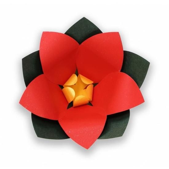 PFC ϥߤ餺Ž֥롼७åȡݥ󥻥ֹסڤ縶ޤߴƽ