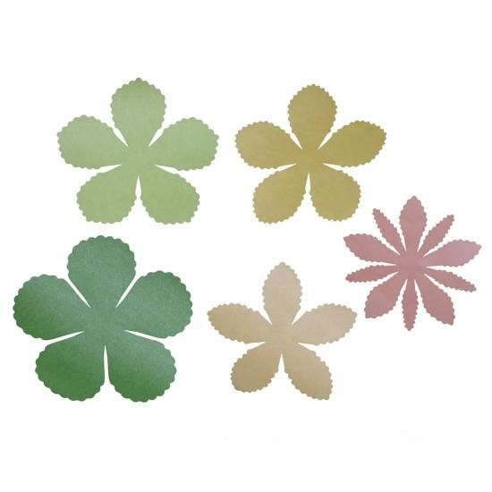 PFC ϥߤ餺Ž֥롼७åȡդܤֽʡסڤ縶ޤߴƽ