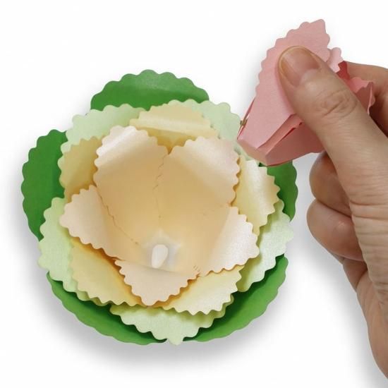 PFC ϥߤ餺Ž֥롼७åȡդܤֽʡסڤ縶ޤߴƽ