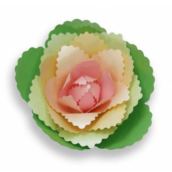 PFC ϥߤ餺Ž֥롼७åȡդܤֽʡסڤ縶ޤߴƽ