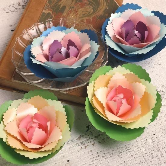 PFC ϥߤ餺Ž֥롼७åȡդܤֽʡסڤ縶ޤߴƽ