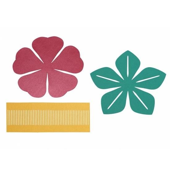 PFC ϥߤ餺Ž֥롼७åȡĤФַɰסڤ縶ޤߴƽ