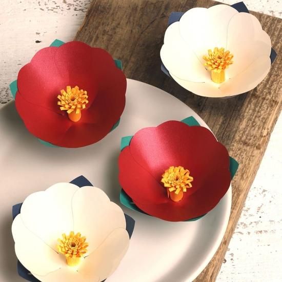 PFC ϥߤ餺Ž֥롼७åȡĤФַɰסڤ縶ޤߴƽ