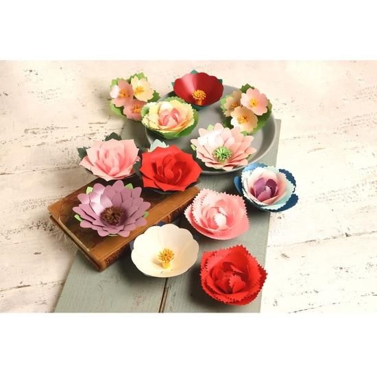 PFC ϥߤ餺Ž֥롼७åȡ٥ִ˾סڤ縶ޤߴƽ