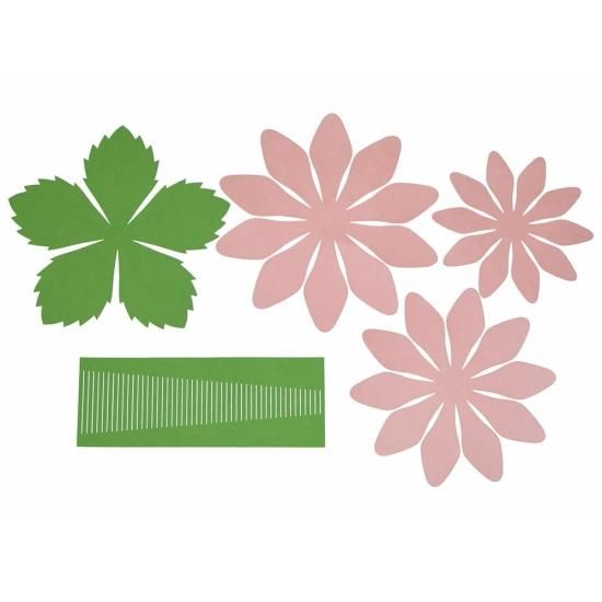 PFC ϥߤ餺Ž֥롼७åȡ٥ִ˾סڤ縶ޤߴƽ