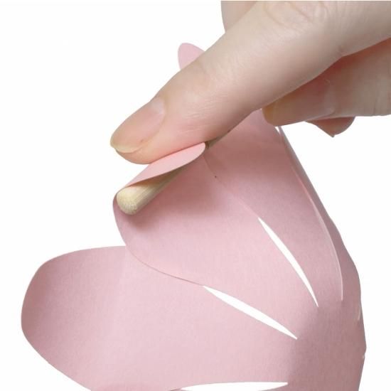 PFC ϥߤ餺Ž֥롼७åȡ٥ִ˾סڤ縶ޤߴƽ