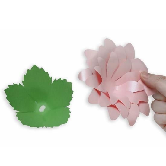 PFC ϥߤ餺Ž֥롼७åȡ٥ִ˾סڤ縶ޤߴƽ