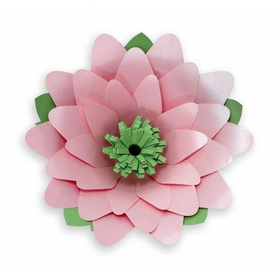 PFC ϥߤ餺Ž֥롼७åȡ٥ִ˾סڤ縶ޤߴƽ