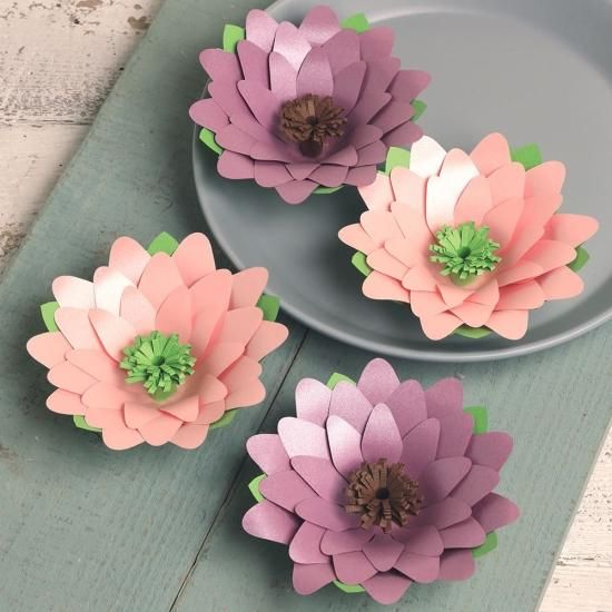 PFC ϥߤ餺Ž֥롼७åȡ٥ִ˾סڤ縶ޤߴƽ