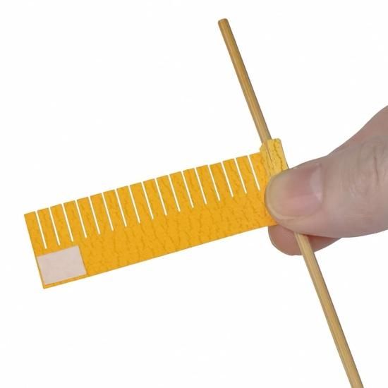 PFC ϥߤ餺Ž֥롼७åȡͥסڤ縶ޤߴƽ