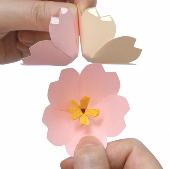 PFC ϥߤ餺Ž֥롼७åȡͥסڤ縶ޤߴƽ