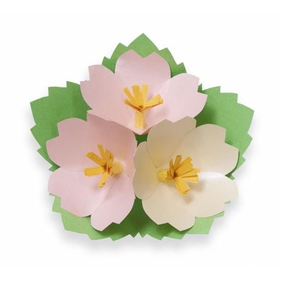 PFC ϥߤ餺Ž֥롼७åȡͥסڤ縶ޤߴƽ