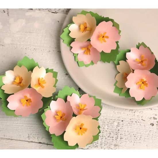 PFC ϥߤ餺Ž֥롼७åȡͥסڤ縶ޤߴƽ