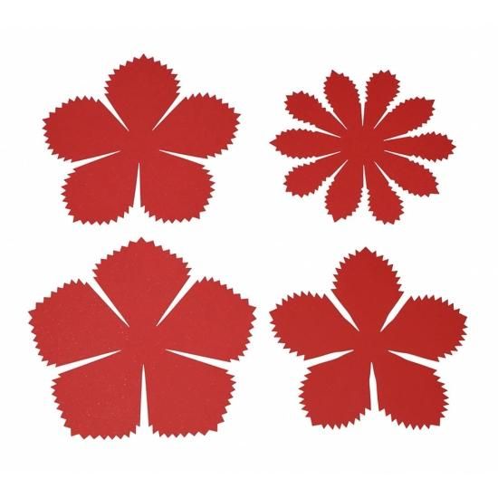 PFC ϥߤ餺Ž֥롼७åȡִ͡աסڤ縶ޤߴƽ