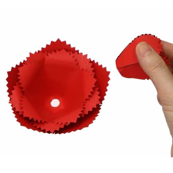 PFC ϥߤ餺Ž֥롼७åȡִ͡աסڤ縶ޤߴƽ